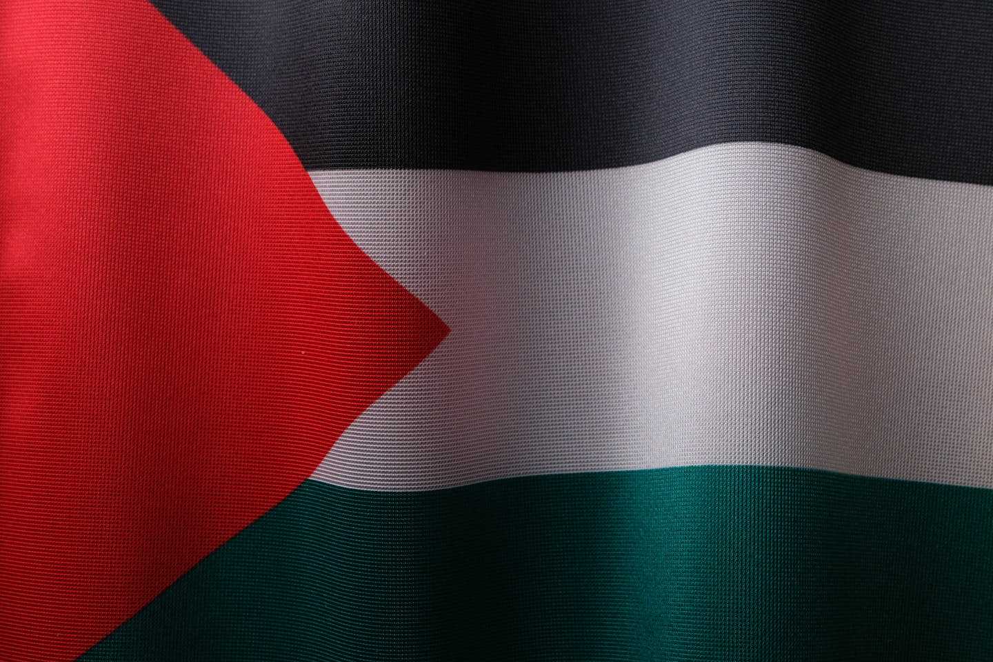 Новости мира / Мировые конфликты / О нуждах палестинского народа заявили в МИД страны