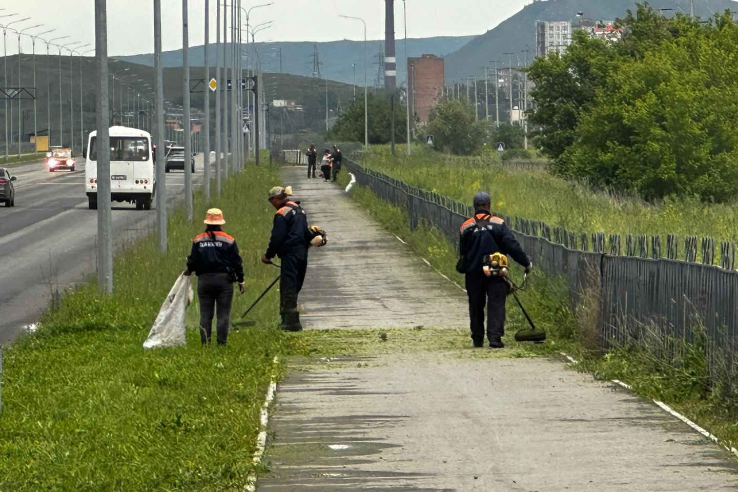 Усть-Каменогорск и ВКО / Коммунальщики Усть-Каменогорска приступили к скосу травы на газонах