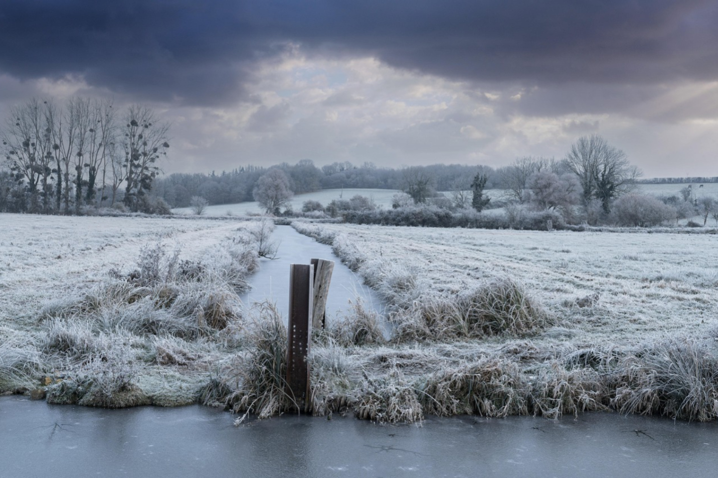 Новости мира / Интересные новости / 14 марта: сегодня в истории