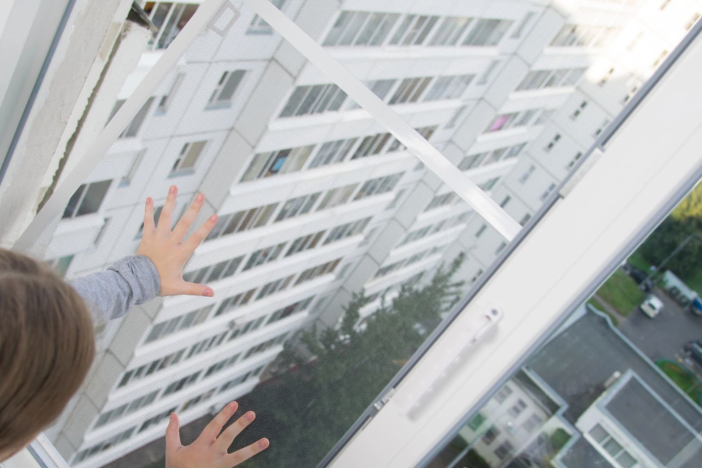 Новости мира / Спасшему ребенка в Санкт-Петербурге дворнику вручили миллион рублей