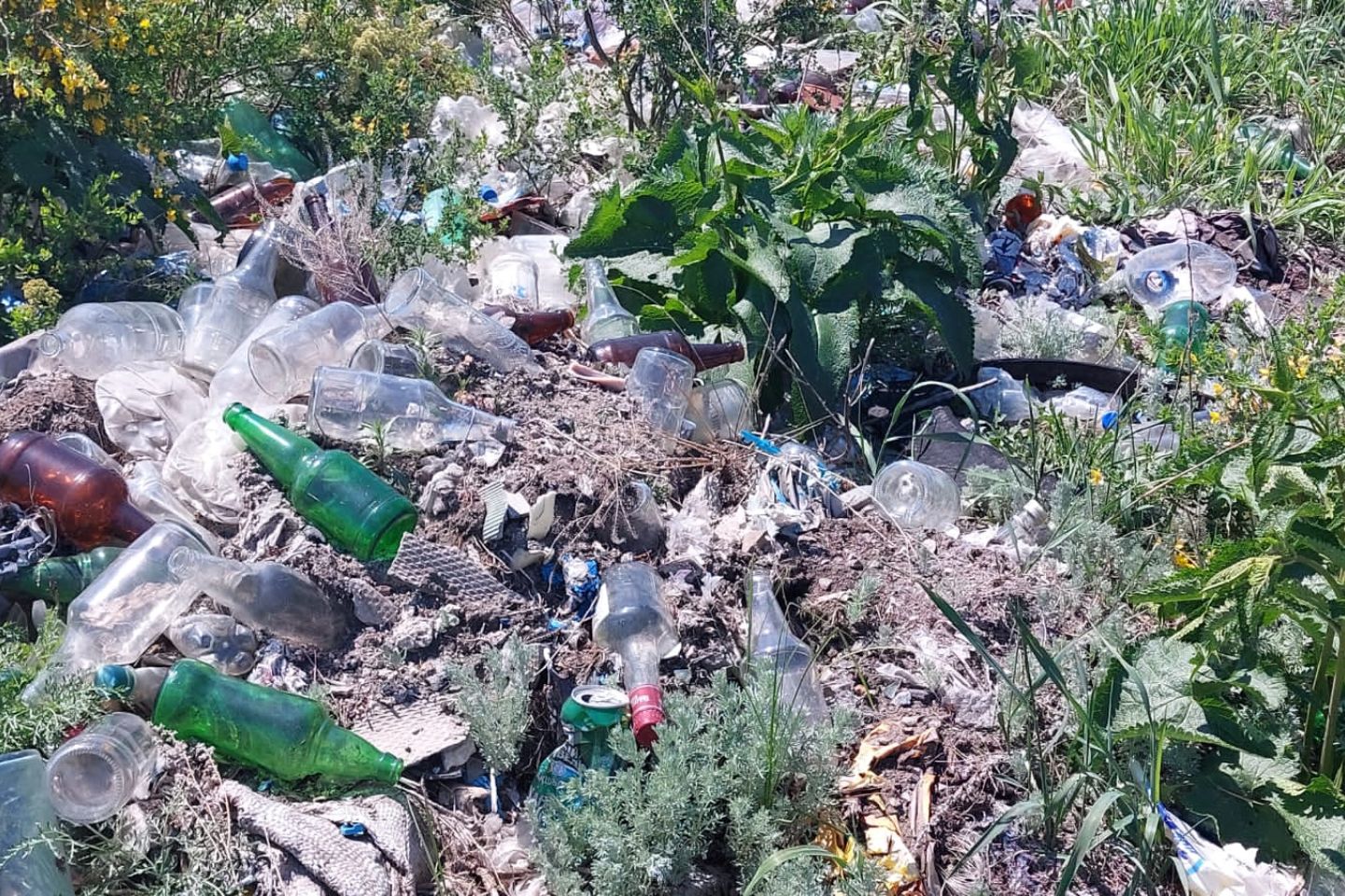 Усть-Каменогорск и ВКО / В городе Алтае в ВКО планируют построить новый полигон ТБО Усть-Каменогорск и ВКО / В городе Алтае в ВКО планируют построить новый полигон ТБО