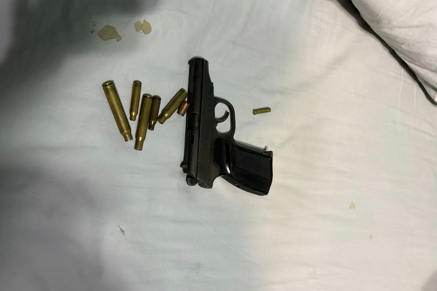 Усть-Каменогорск и ВКО / Глубокое (Глубоковский р-он) / Глубокое ауданының тұрғындарынан заңсыз сақталған қару жиынтығы тәркіленді