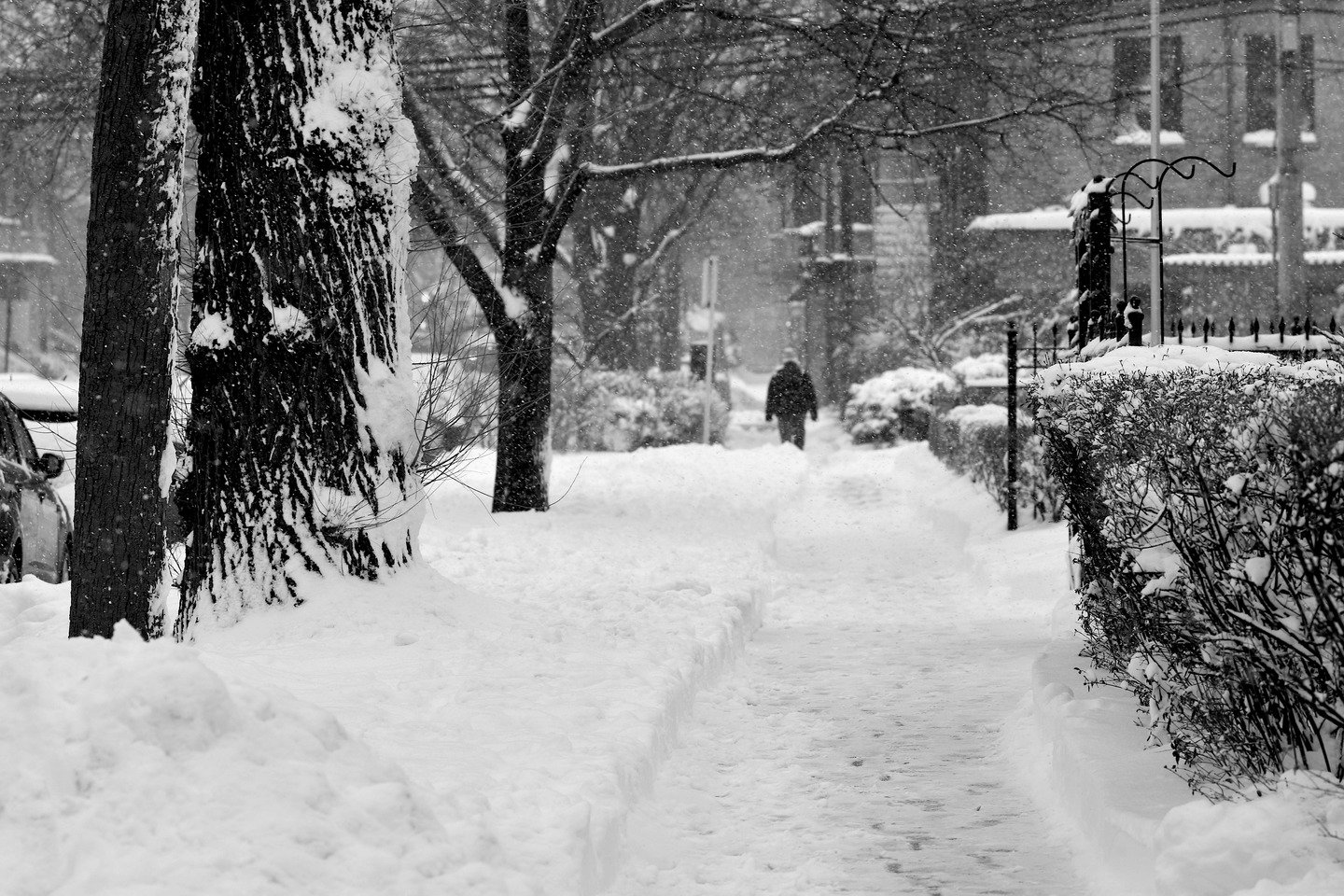 Усть-Каменогорск и ВКО / ШҚО-да ертең қалың қар жауып, бұрқасын соғады