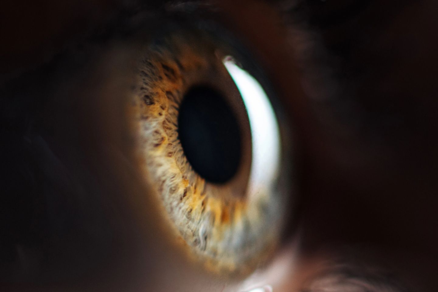 Новости мира / Утренняя панорама мировых новостей за 19 марта