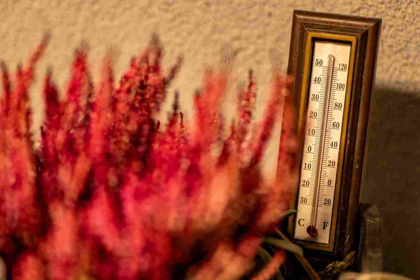 Новости мира / Интересные новости / В Крыму побит вековой рекорд тепла