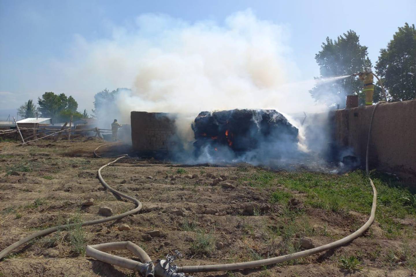 Происшествия в Казахстане и мире / Животные погибли при пожаре в ВКО