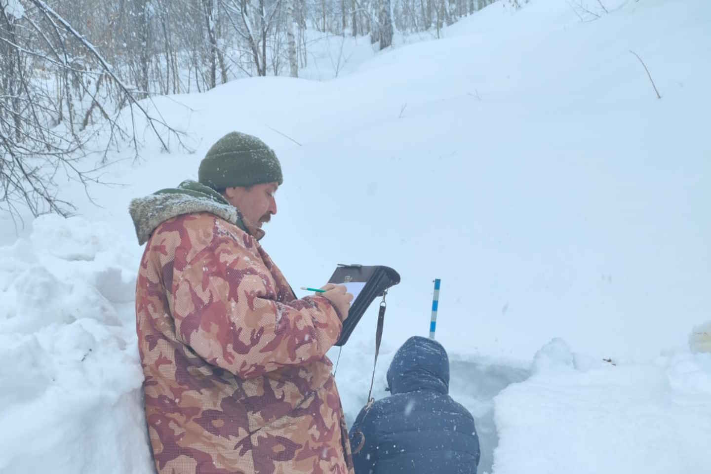 Усть-Каменогорск и ВКО / В районе Алтай объявили желтый уровень опасности схода лавин