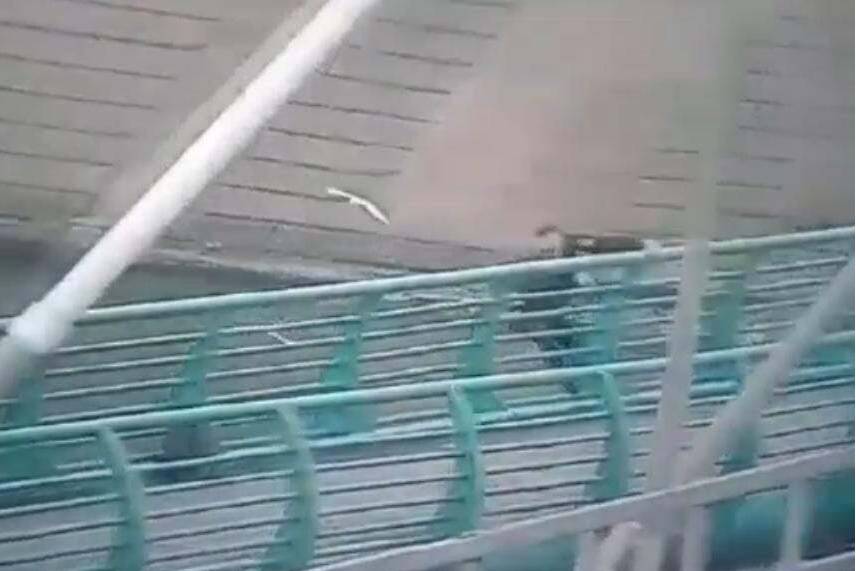Новости Казахстана / Полицейские Нур-Султана спасли беременную женщину, спрыгнувшую с моста
