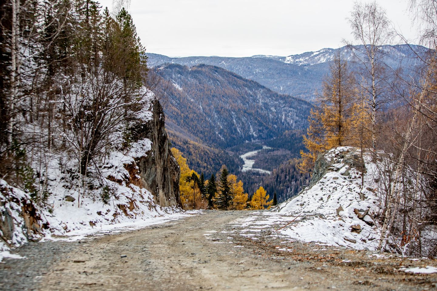 Усть-Каменогорск и ВКО / Катон-Карагай (Катон-Карагайский р-он) / В Катон-Карагайском нацпарке медведь решил испытать фотоловушку на прочность Усть-Каменогорск и ВКО / Катон-Карагай (Катон-Карагайский р-он) / В Катон-Карагайском нацпарке медведь решил испытать фотоловушку на прочность