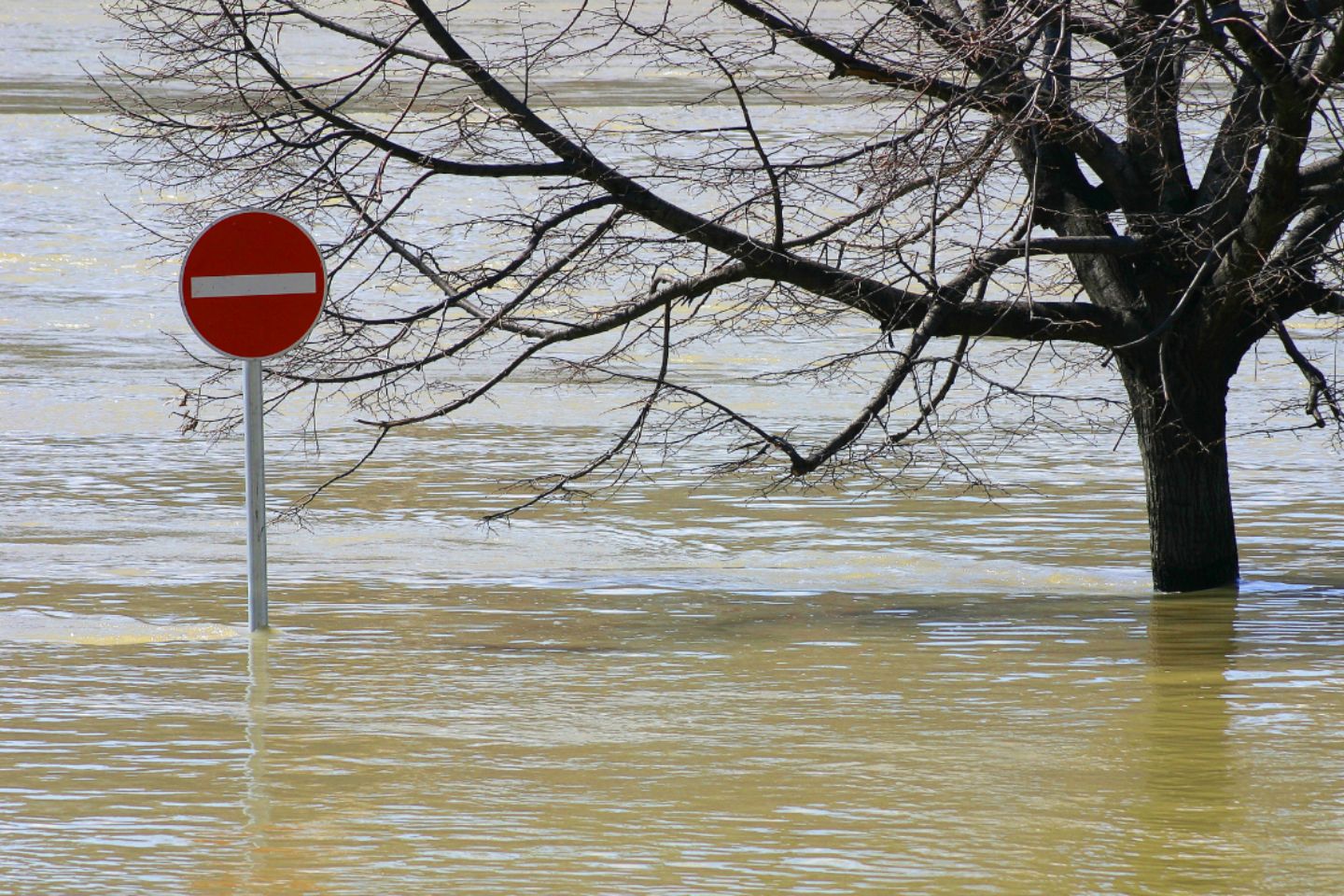 Новости мира / Более 320 тысяч человек без света: последствия непогоды в Дагестане