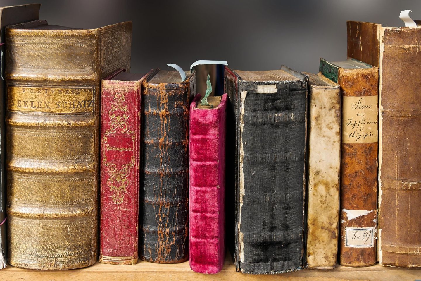 Усть-Каменогорск и ВКО / Усть-Каменогорск / Жители ВКО могут пополнить раритетные книжные фонды этнографического музея