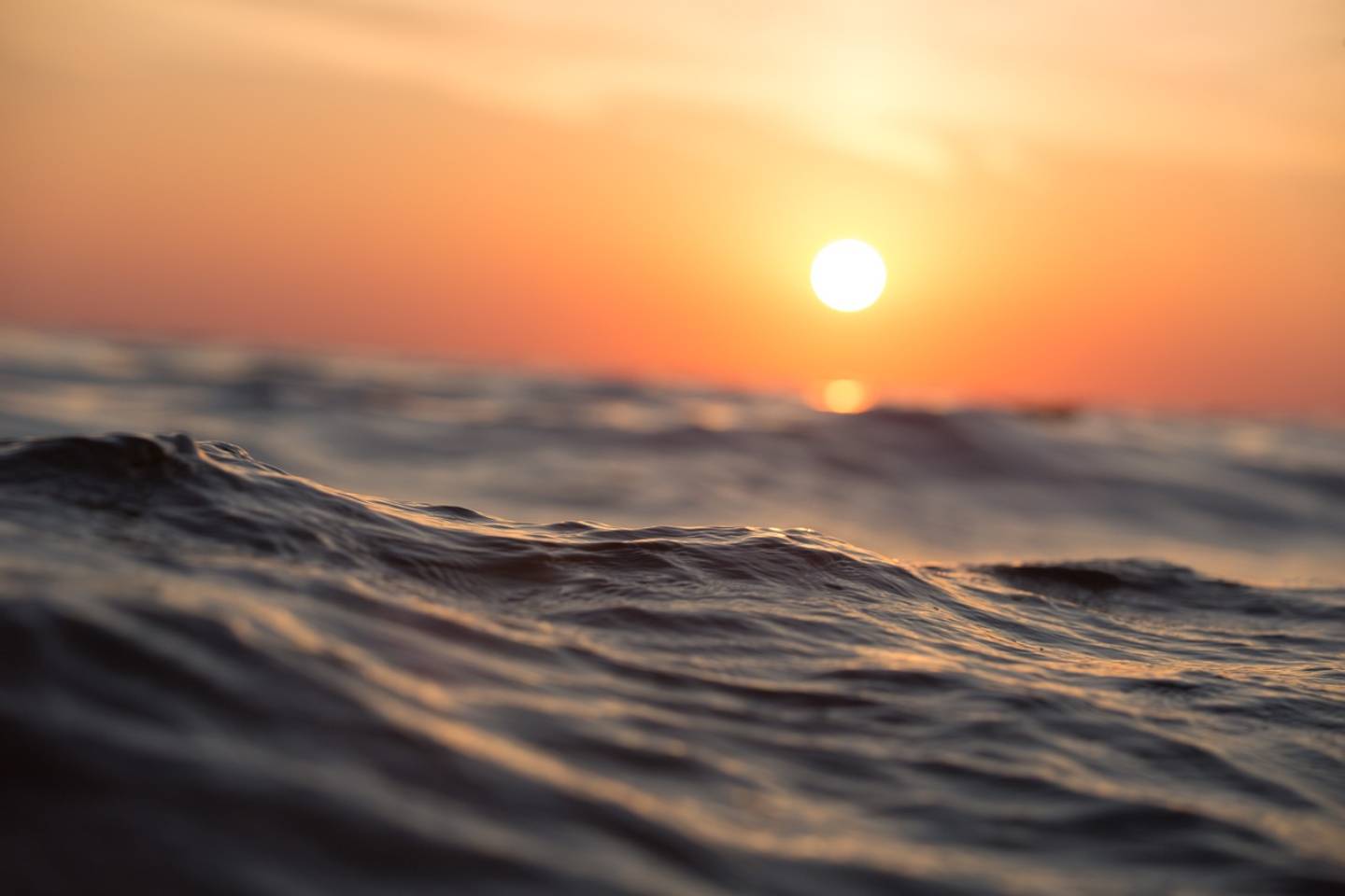 Новости мира / Интересные новости / В районе острова Флорида-Кис вода в океане прогрелась до экстремальных значений