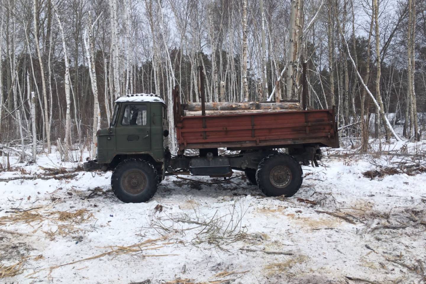 Усть-Каменогорск и ВКО / Почти 140 поваленных лесорубами деревьев оценили всего в 350 тысяч тенге в ВКО