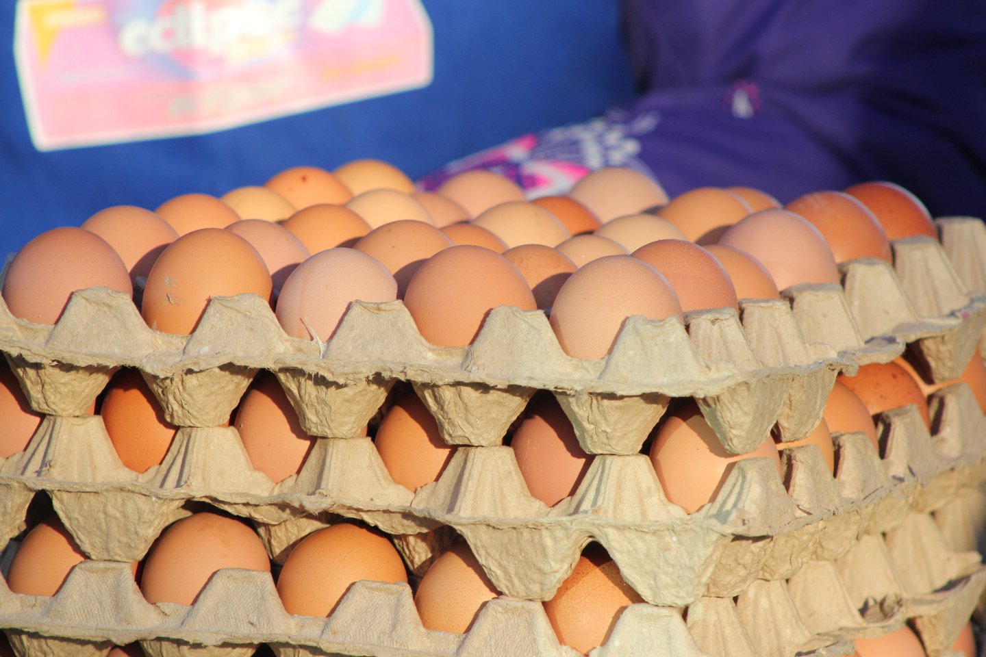 Новости Казахстана / Экономика в Казахстане / Почему яйца в РК "золотые": торговая надбавка на них в этом году составила 57% 