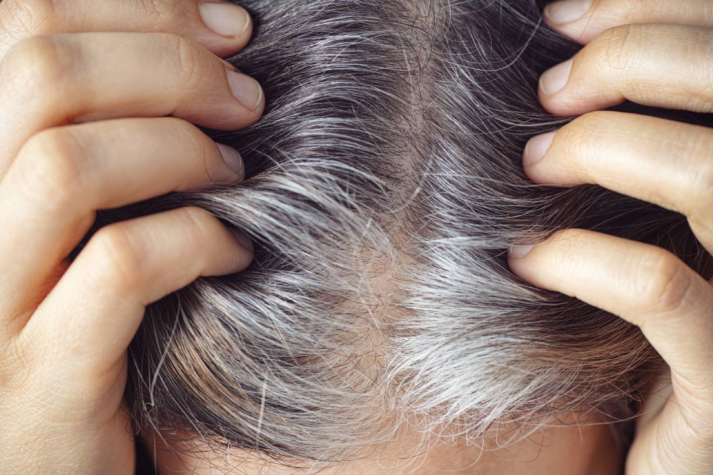 Новости мира / Интересные новости / Признак старости: ученые выяснили причину появления седых волос