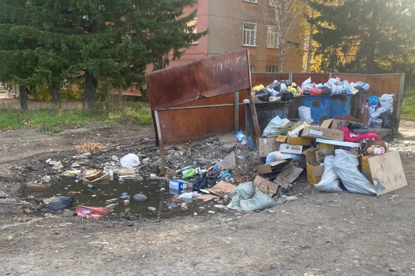 Усть-Каменогорск и ВКО / Риддер / В Риддере, где большая проблема с мусором, утвердили новый тариф на вывоз ТБО 