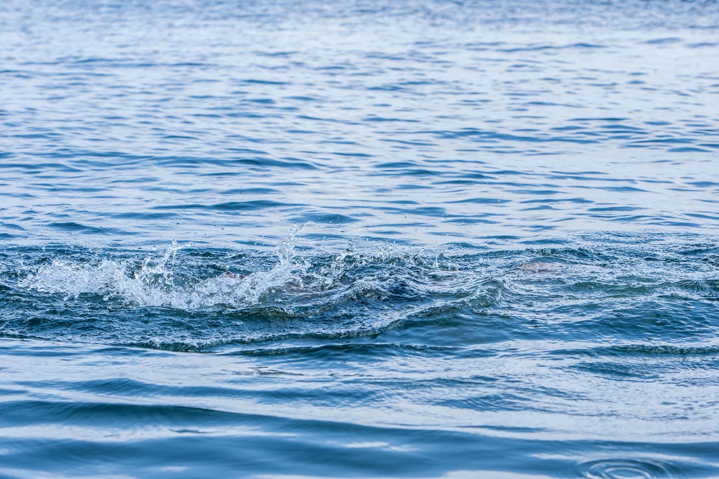 Новости Казахстана / Экономика в Казахстане / Карту водно-энергетических ресурсов обновят в Казахстане в ближайшее время