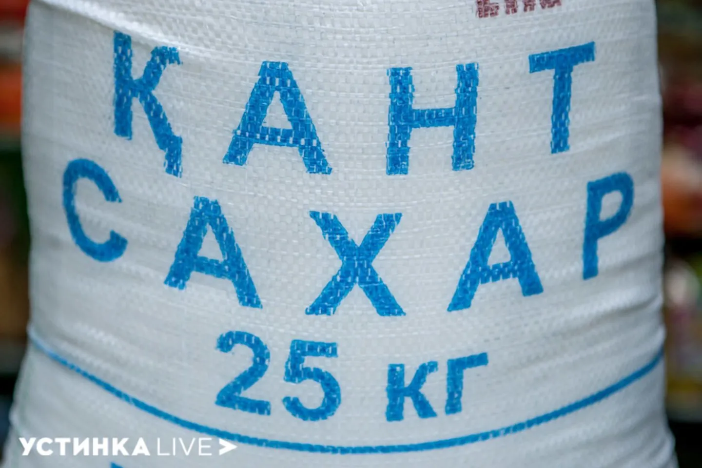 Происшествия в Казахстане и мире / Три колонны сахарной свеклы не приняли на заводе в Жамбылской области