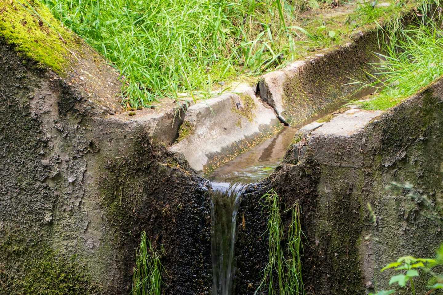 Новости Казахстана / Общество в Казахстане / В Казахстане проходит экологическая акция по очистке родников