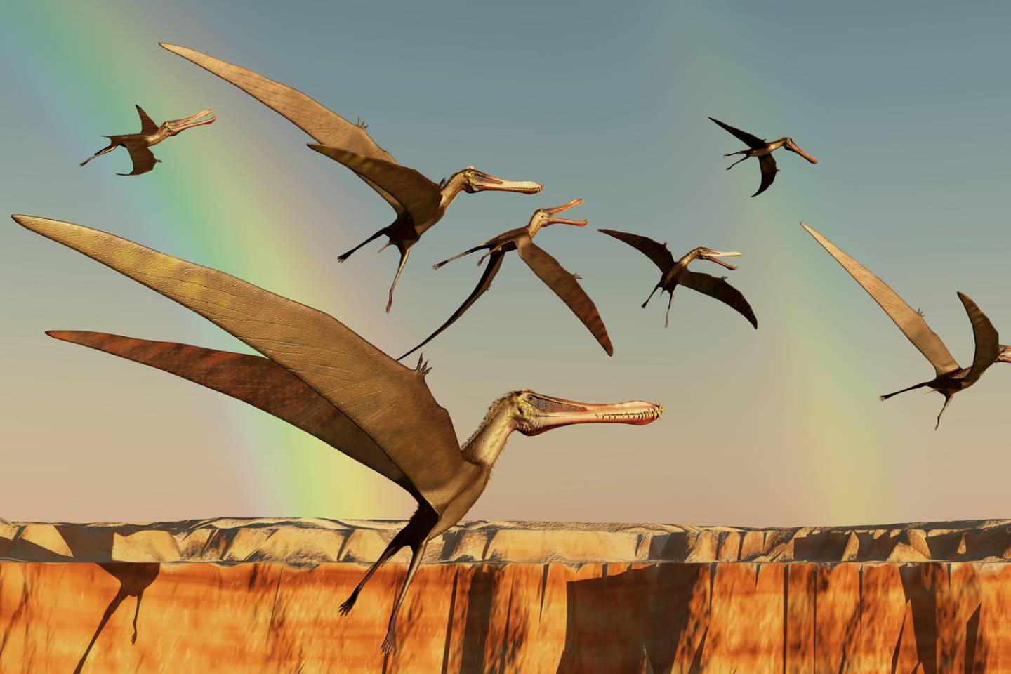 Новости мира / Интересные новости / Ученые Японии выяснили, как и когда предки птиц научились летать