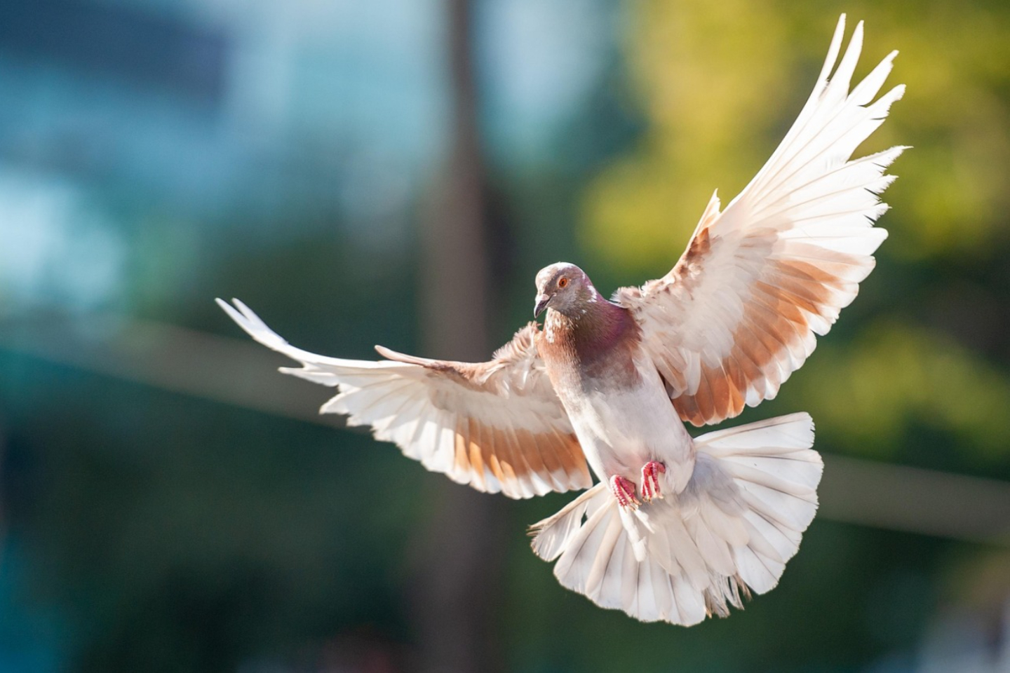 Новости мира / Интересные новости / 25 марта: сегодня в истории