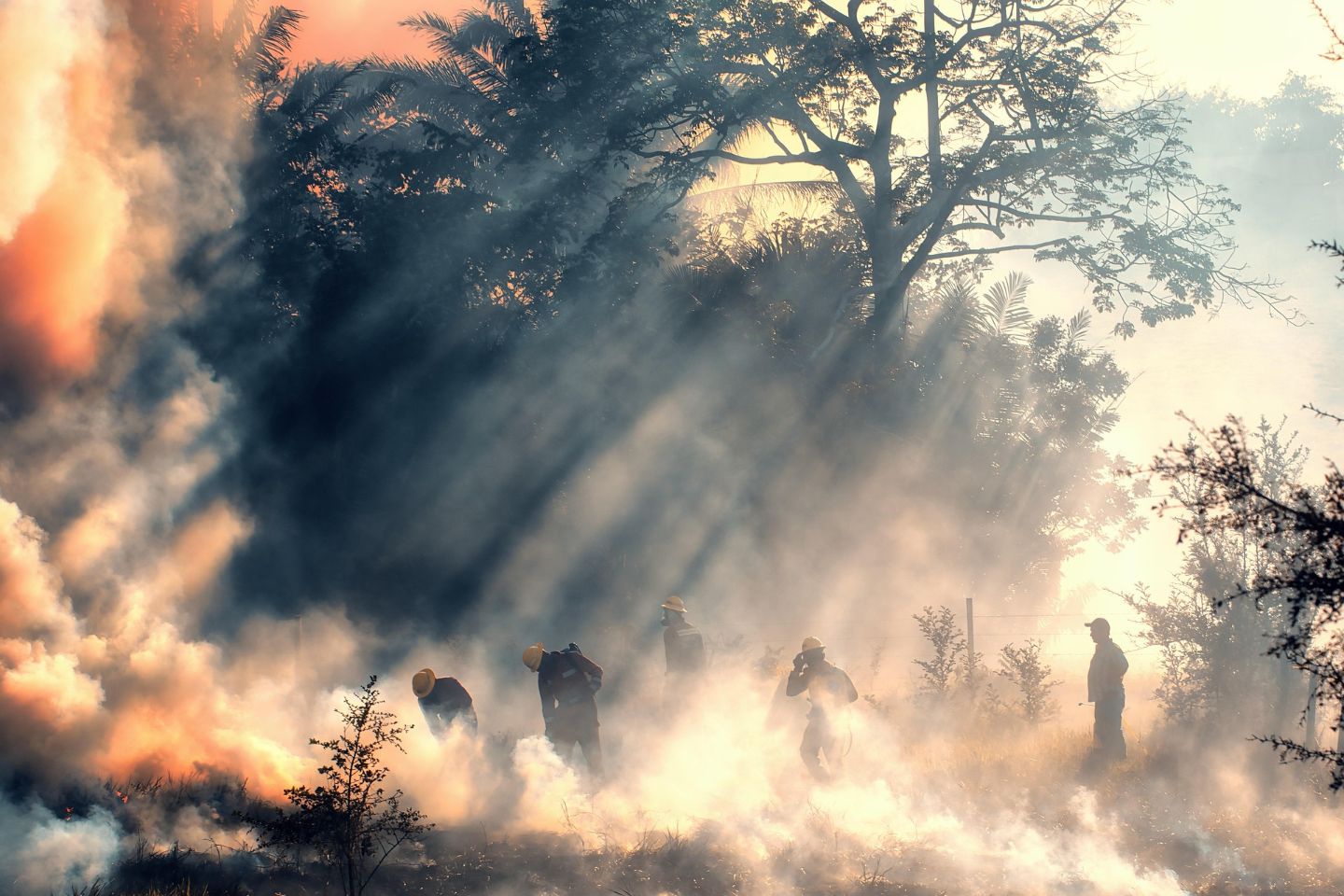 Новости мира / Президент Чили сообщил о росте числа погибших при пожарах