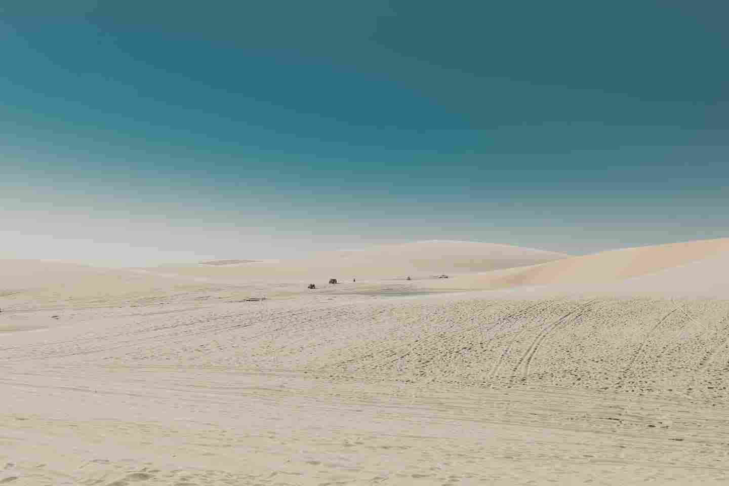 Новости Казахстана / Общество в Казахстане / В Казахстане завершается проект по озеленению дна Арала