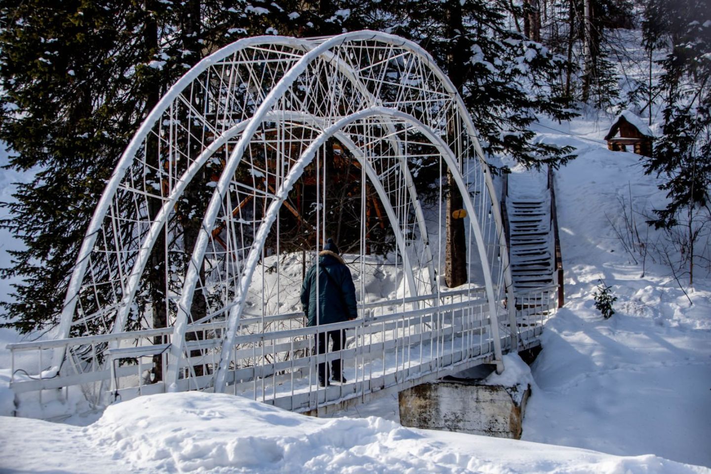 Усть-Каменогорск и ВКО / В Горной Ульбинке появится Экопарк - первые выездные встречи на месте уже прошли