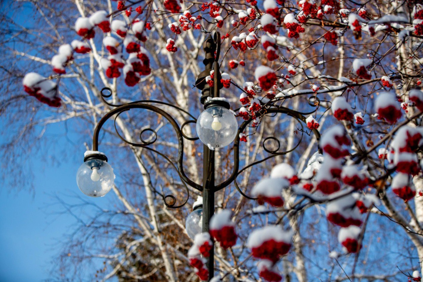 Усть-Каменогорск и ВКО / Ертең ШҚО-да жаяу бұрқасын болады