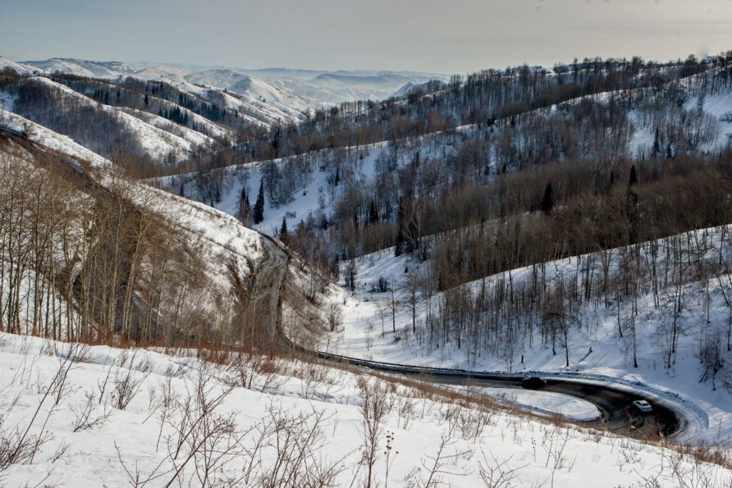 Усть-Каменогорск и ВКО / Автодороги республиканского значения в ВКО чистят 50 спецмашин ежедневно