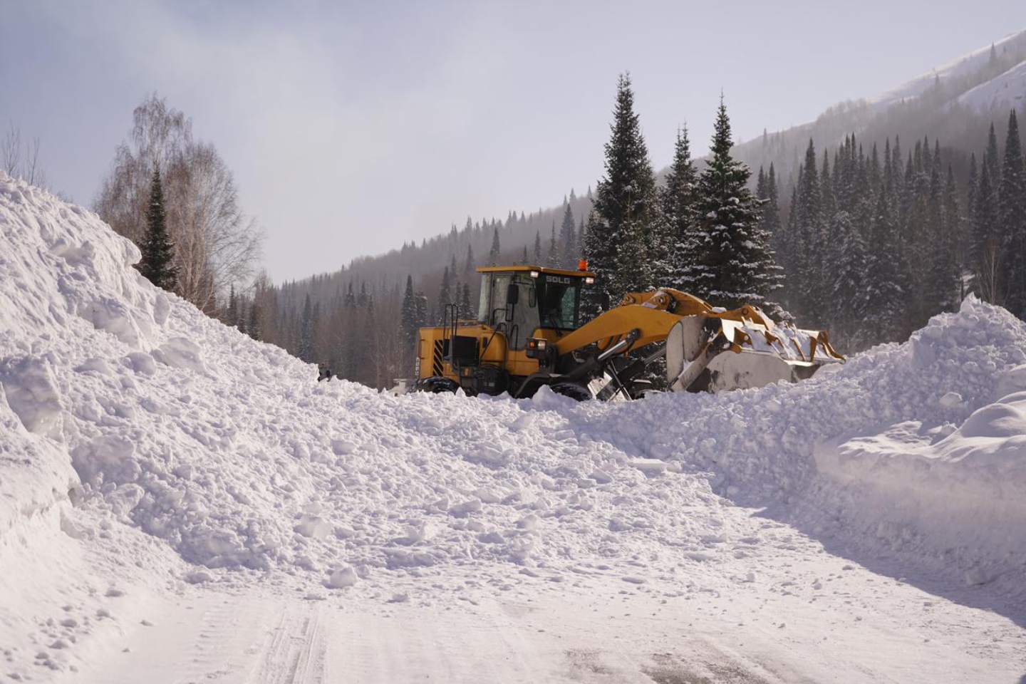 Новости Казахстана / Общество в Казахстане / Более 250 тысяч кубометров снега сошло с гор в Восточном Казахстане