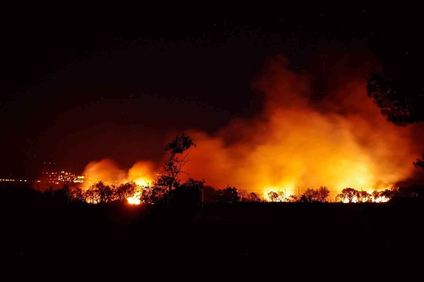 Происшествия в Казахстане и мире / Стихийные бедствия / В Аргентине сильный лесной пожар начался из-за кофе