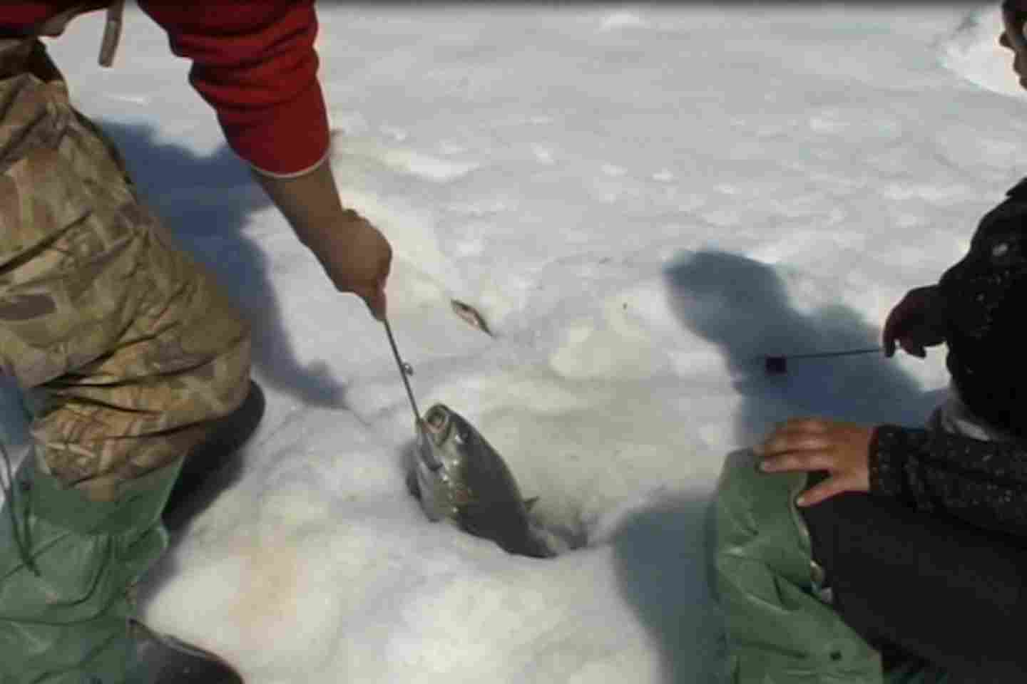 Усть-Каменогорск и ВКО / На Маркаколе с 3 декабря открылся сезон подледной рыбалки для местных жителей