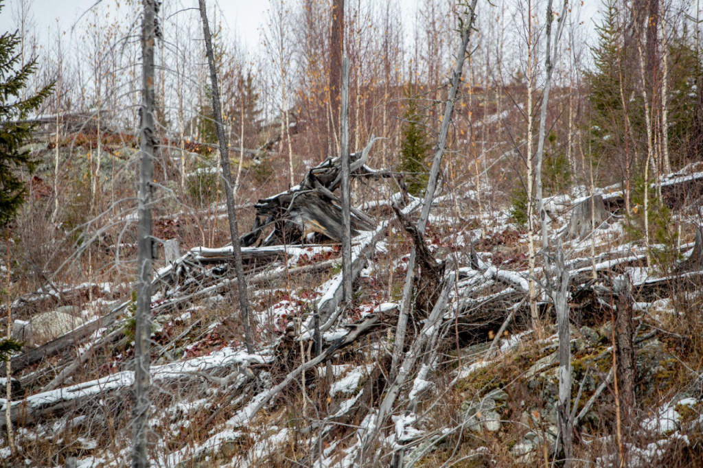 Объективная реальность