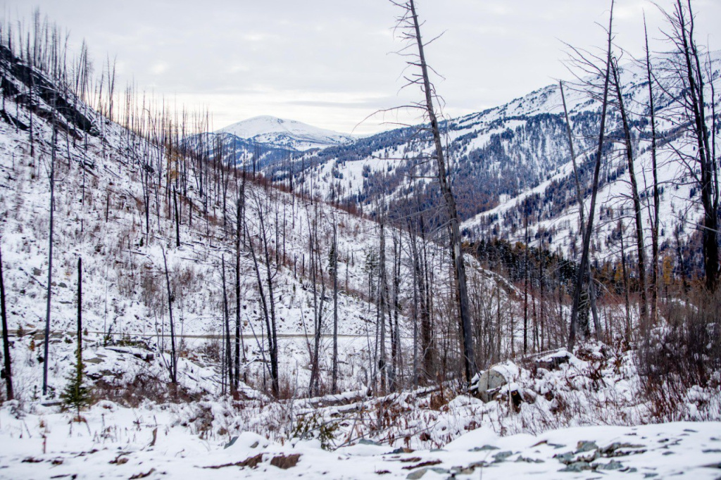 Выжигающее горе