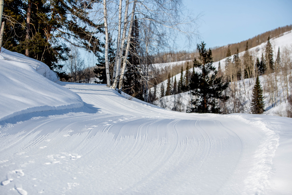 "Алтайские Альпы"