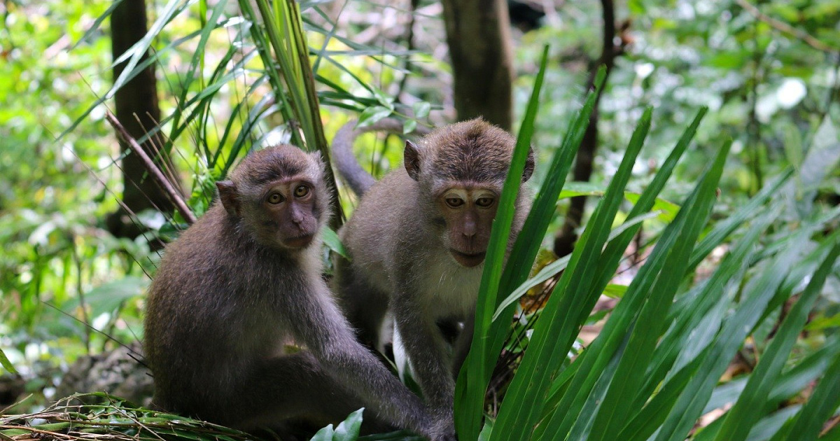 Гомельде үйленген әйелдер жыныстық қатынасқа түсуді қалайды Порно анасы ұлы массаж онлайн видео