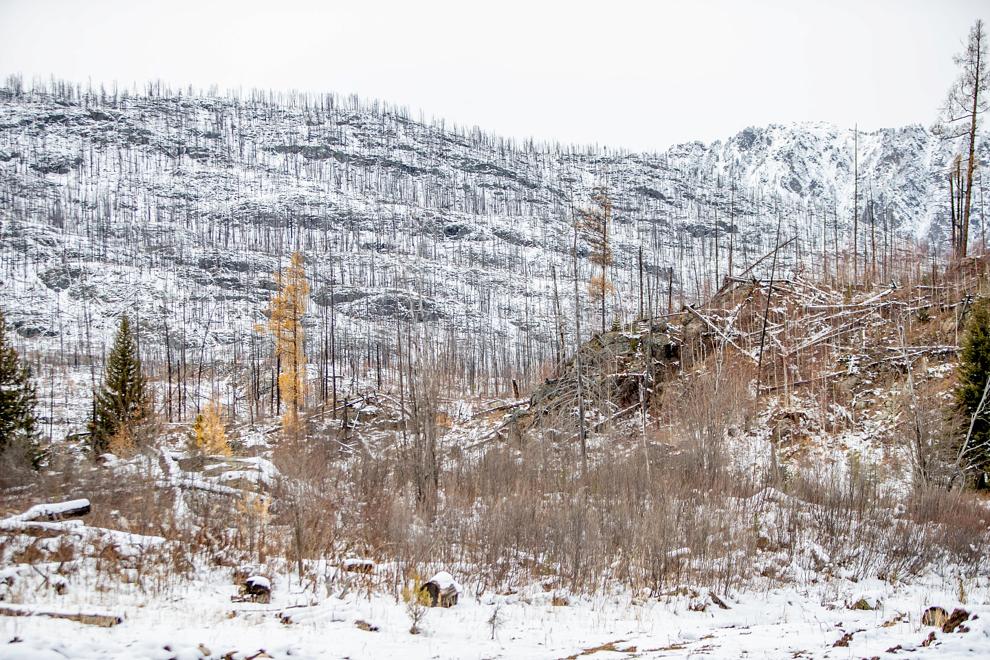 Усть-Каменогорск и ВКО / Юные жители ВКО смогут поучаствовать в конкурсе "Знания в картинках" Усть-Каменогорск и ВКО / Юные жители ВКО смогут поучаствовать в конкурсе "Знания в картинках"