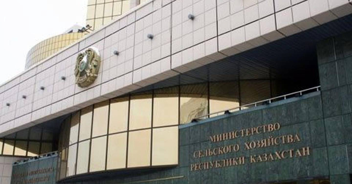Ргп. Председатель квкн мсх рк. Сайт мсх рк. Вице-министр сельского хозяйства республики казахстан. Руководитель ветинарного контроля комитета мсх рк по алматы.