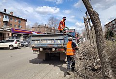 На улице Космической в Усть-Каменогорске семь лет не подпиливали деревья