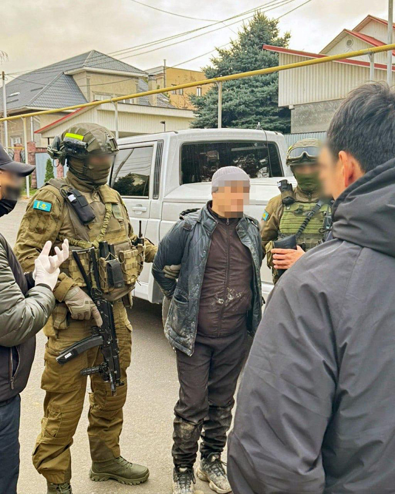 Новости Казахстана / Общество в Казахстане / Пчелу в Восточном Казахстане признали животным