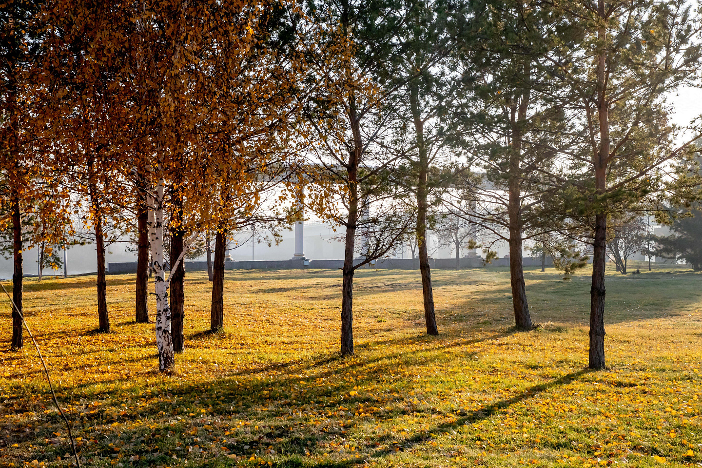 Усть-Каменогорск и ВКО / Владимир Дубинин посетил конкурс парикмахеров в Усть-Каменогорске
