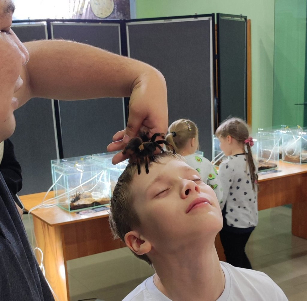 Новости мира / Интересные новости / World of Warcraft потерял половину игроков